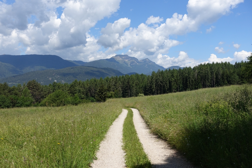 Passeggiate e Trekking - Casa Pioncla Apartments