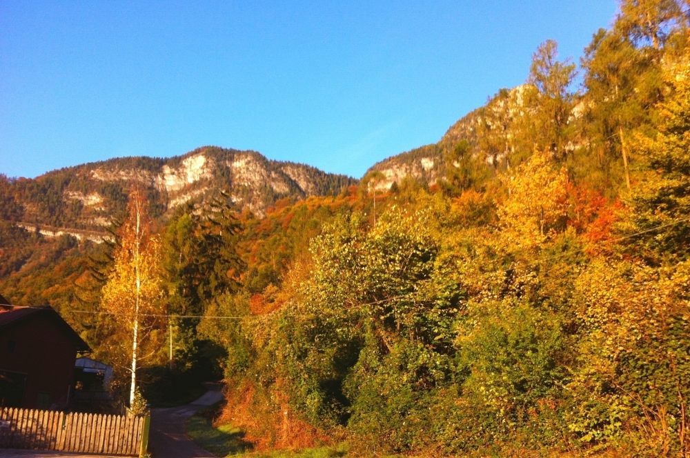 La Val di Non - Casa Pioncla Apartments